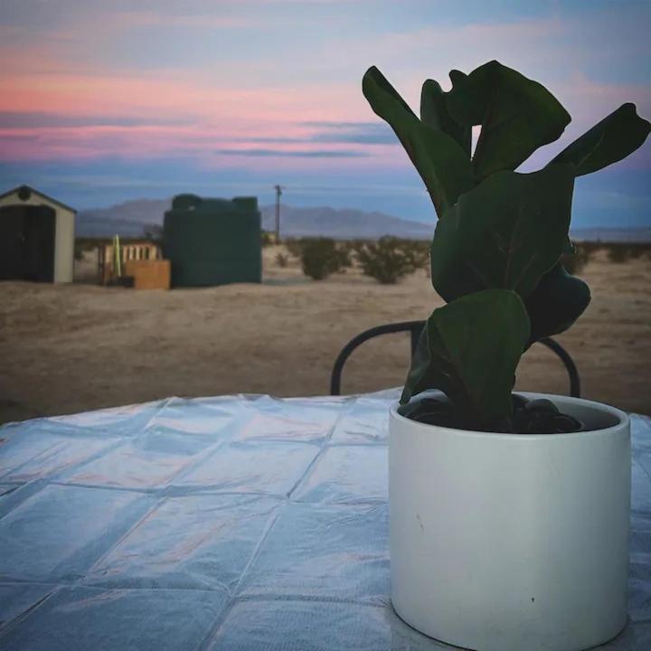 Serene Modern Home Backdoor With Great Wifi, Games, Movies, Patio Seating And Bbq Easy Access To North Joshua Tree National Park In 10 Minutes Twentynine Palms Kültér fotó